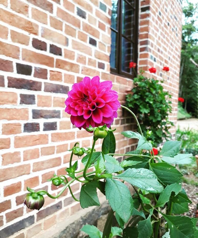 Hospedagem Rural Fazenda Sacramento ชิงโบ ห้อง รูปภาพ